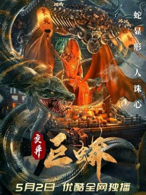 暗夜追凶